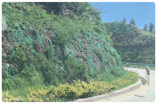 边坡生态修复实地踏勘｜复盘三年完工陡坡，剖析模板化施工核心短板