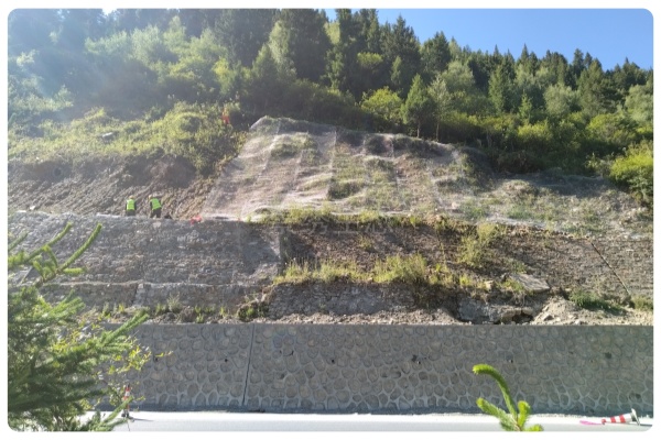 十五五生态新征程：景绣生态赋能四川阿坝红原高原边坡绿化工程
