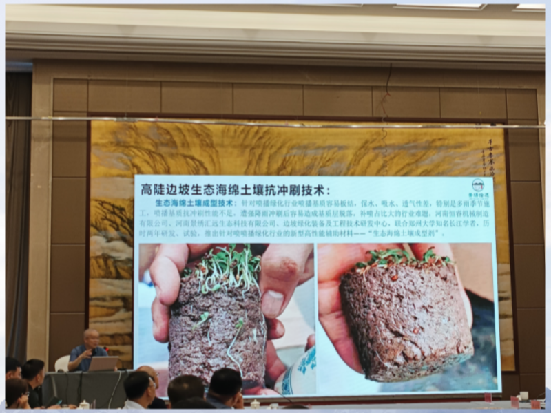 生态海绵土壤成型技术