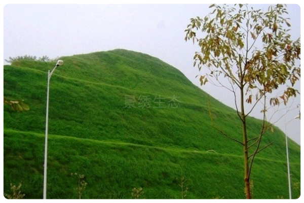 绿满高陡坡面 | 景绣生态刷新坝上区域绿化新纪录