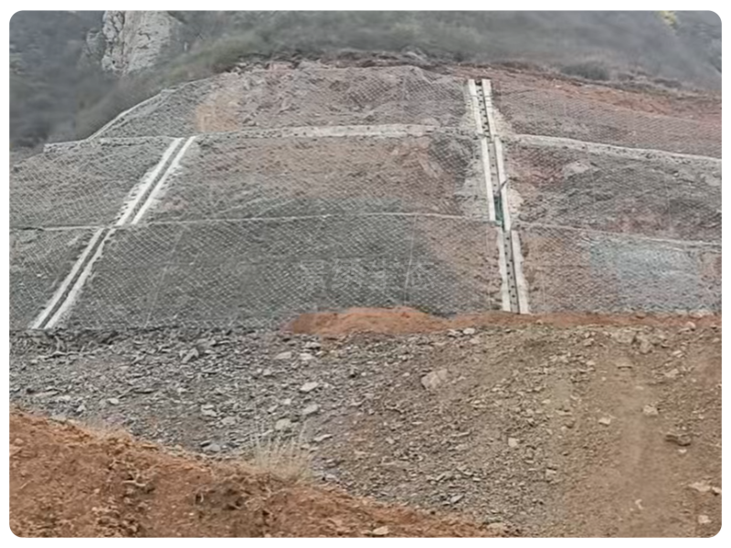 荥密高速绿化工程：景绣生态技术赋能，高陡边坡焕新颜