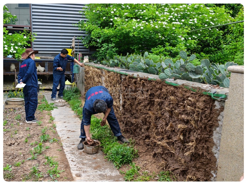 景绣生态深耕生态修复研发，硬核技术筑牢边坡生态修复根基