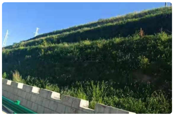景绣生态：定制边坡绿化方案，重塑荒漠生态绿意