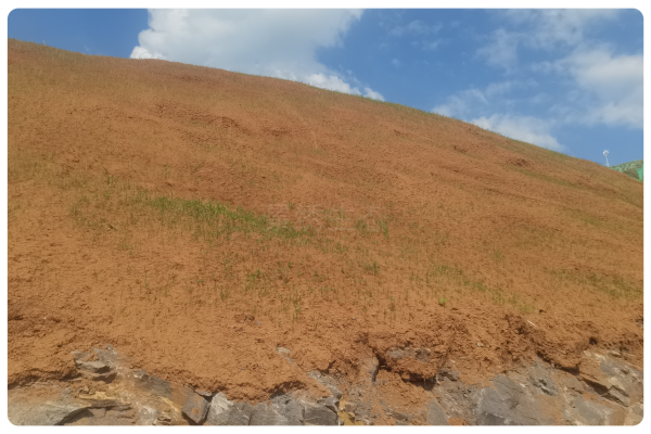 生态海绵土壤成型剂：边坡绿化的实用之选，筑牢生态防护屏障