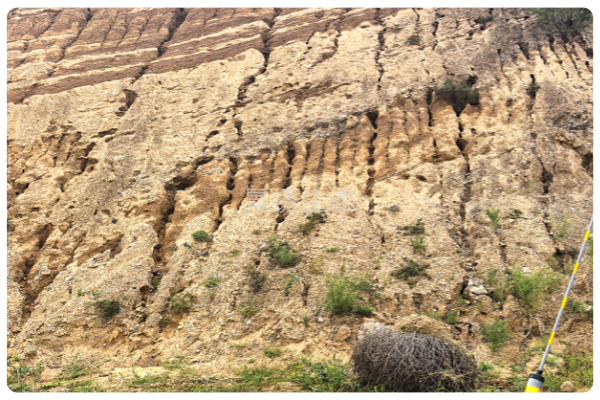 攻克两大行业难题！景绣生态生态海绵土壤成型技术推动水土保持高质量发展
