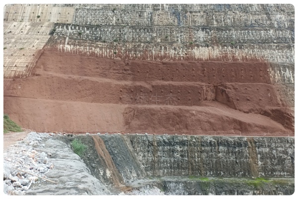 集水植生檐绿化技术：景绣生态让白鹤滩旱谷地 “雨水生金”