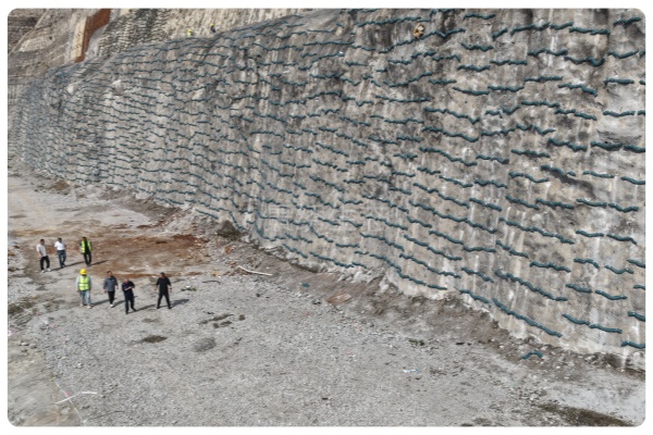 植生棒绿化技术：景绣生态为白鹤滩旱谷地植入 “绿色生长芯”