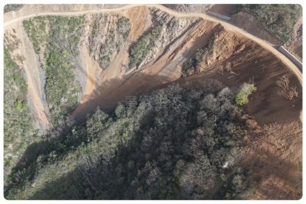 生态赋能风电：景绣生态筑牢洛宁风电场绿色屏障