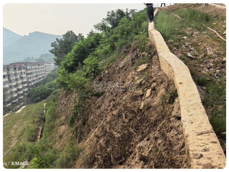 方城家属院陡峭岩石边坡治理 双技术联合绿化施工方案