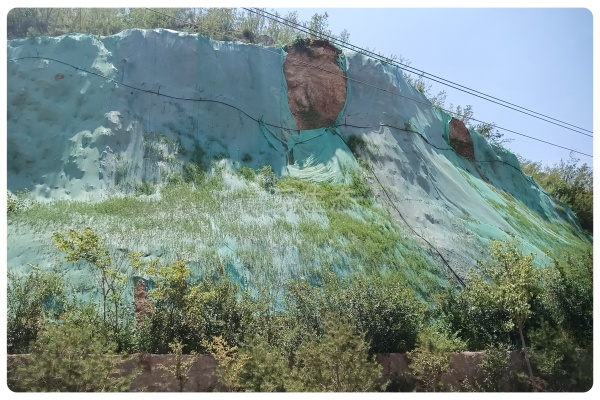 景绣生态成功攻克淅川工程难题，打造生态修复典范