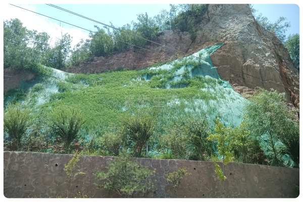 鹤壁鹤山区生态修复工程：高陡岩质坡面难题攻克，绿化成效初显