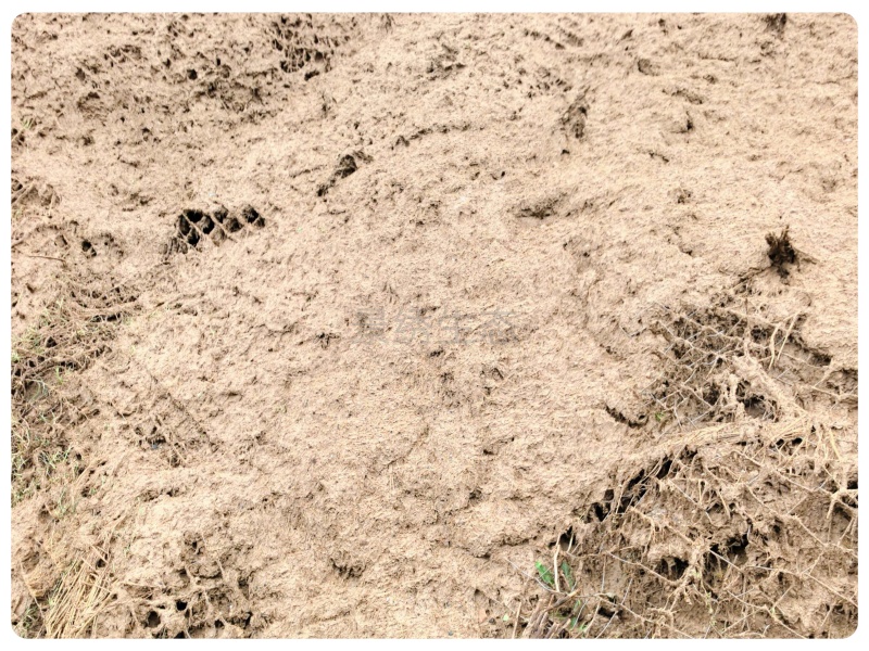 生态修复工程新突破｜景绣生态海绵土壤技术，硬核解决高陡边坡水土流失难题