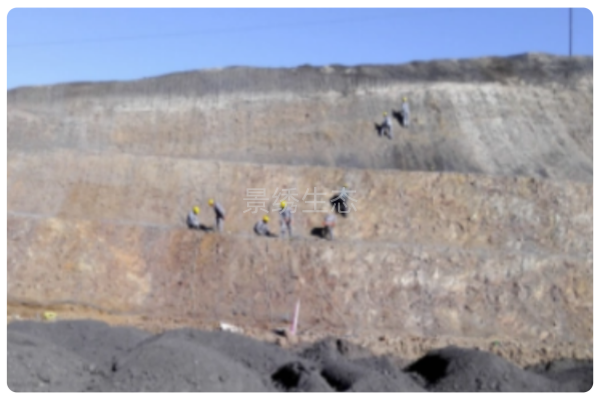 攻坚克难筑绿脉 | 景绣生态成功打造张承高速D标高寒陡坡绿化典范