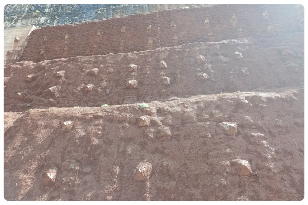 景绣生态海绵土壤成型技术在旱谷地边坡绿化工程中的应用