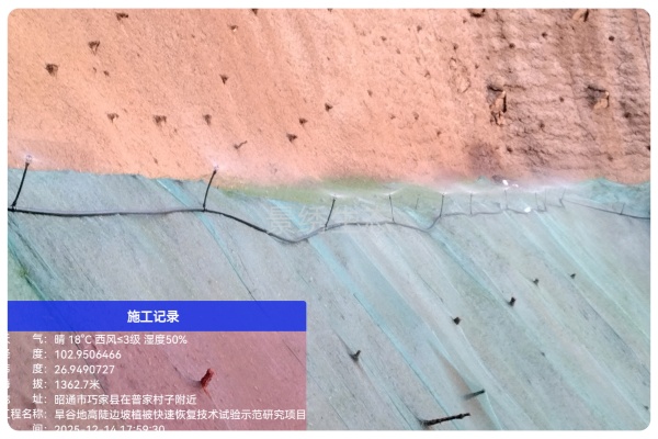 匠心护绿越冬 筑牢生态根基——景绣团队扎实推进云南采石场绿化冬季收尾工作