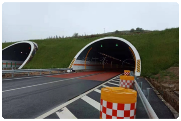 枯水期里的“植绿奇迹”——景绣生态右平高速右玉段边坡修复纪实