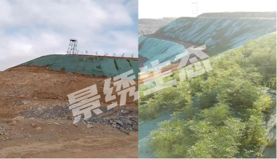 矿山生态修复