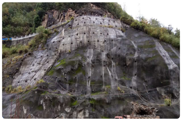 攻克 90° 垂直难关！景绣生态技术让南江湖水电站水泥坡面焕绿