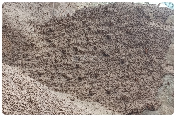 白鹤滩旱谷地集水植生檐施工方案 - 景绣生态旱区边坡绿化技术应用