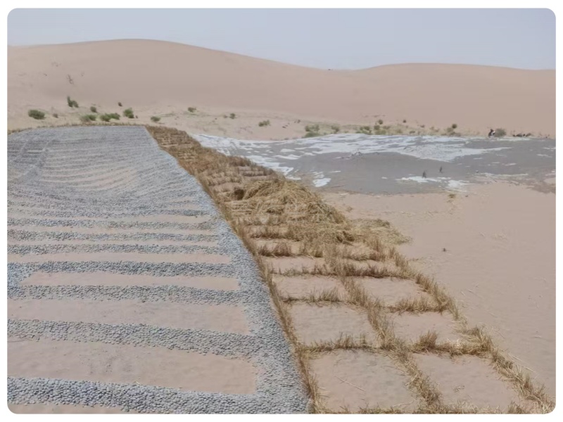 科技赋能荒漠治理工程，绿染荒滩——景绣生态实践之路