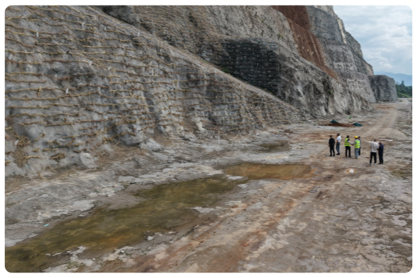 景绣生态边坡绿化工程：绑草棒子的关键作用