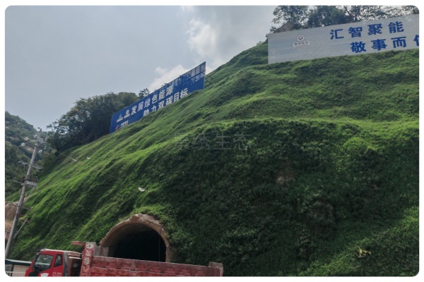 景绣生态项目工程：鲁山抽水蓄能电站矿山复绿工程显成效