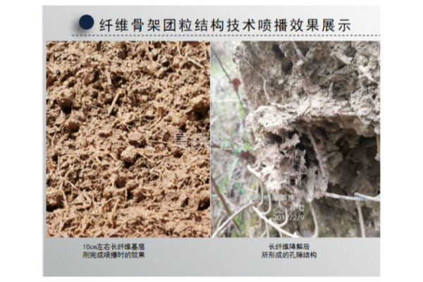 四大维度碾压传统方案：景绣生态纤维骨架团粒结构技术重塑护坡行业标准