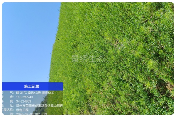 高速边坡绿化工程｜荥阳高速隧道边坡试验段绘就山野生态新画卷