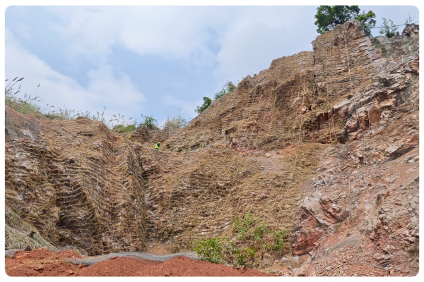 科技赋能矿山复绿工程，纤维骨架生态海绵土壤重塑罗定青山