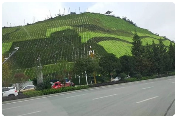 攻坚克难筑绿道｜景绣生态高海拔公路边坡绿化项目获省级认可