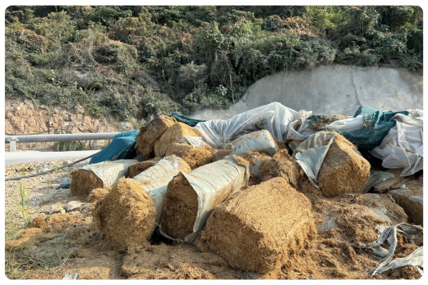 景绣生态边坡绿化施工：草纤维应用的细节把控与技术规范