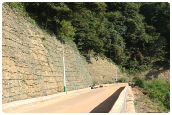 高陡坡公路边坡绿化突破之作：福永高速公路边坡绿化项目