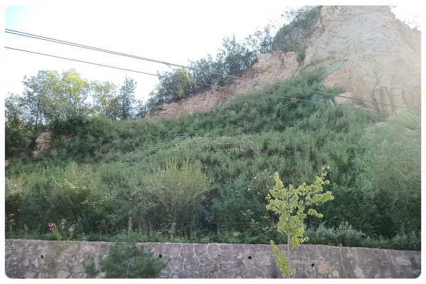 鹤壁高陡岩壁焕新颜，山体复绿工程解锁生态旅游修复新方案