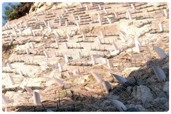 景绣生态集水植生檐绿化技术：破解陡峭硬质坡面绿化难题的创新方案